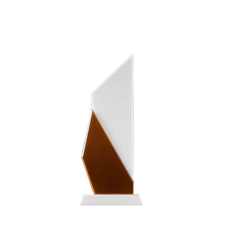 ECS Recognition Award